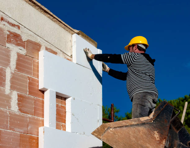 Best Insulation Repair Services  in Monticello, FL